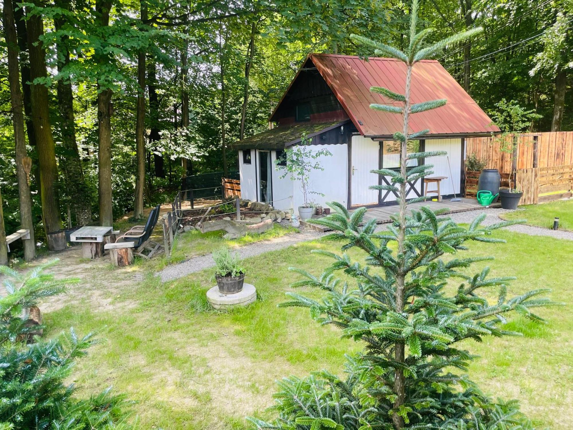 Romantyczna Chatka Villa Pisarzowice  Exterior photo